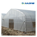 Green House Agriculture Productive Greenhouse for Mushroom